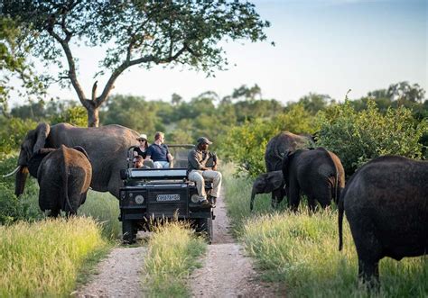  Kruger Nationalparken – En Safariupplevelse Som Skapar Minne För Livet!