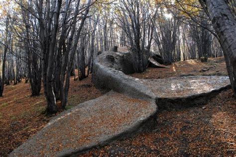  Fossila Strandens Mirakulösa Skulpturer: En Resa Tillbaks i Tiden!