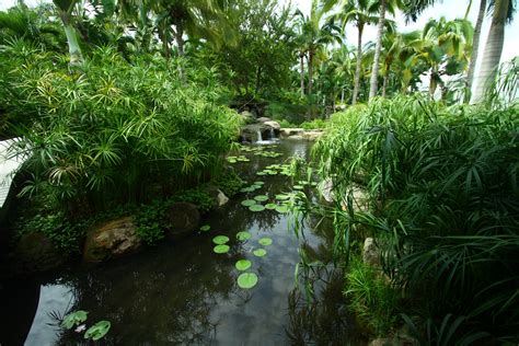 Jardín Botánico de Yucatán - En Grönskande Oas i Mayanernas Hjärtland!