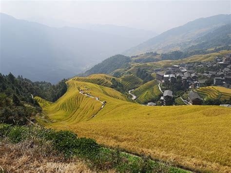 Longsheng Tianterrassernas magiska utsikt över den gröna bergsluttningen!