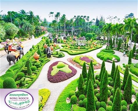 Nong Nooch Tropical Garden – En Blomstrande Oas av Skönhet och Kultur!