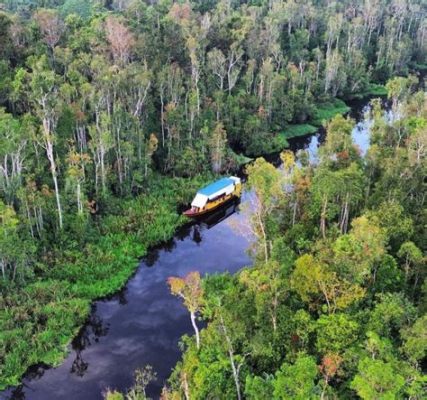 Taman Nasional Tanjung Puting: En Magisk Resa Genom Det Indonesiska Regnskogen!