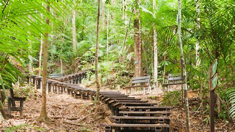 Taman Negara: En magisk regnskog och ett paradis för äventyrssugna!