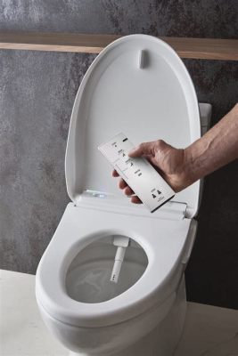 ウォシュレット 後付け - トイレの進化と未来の可能性